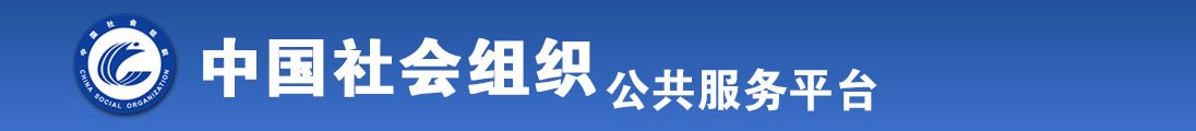 激情插鸡巴视频全国社会组织信息查询